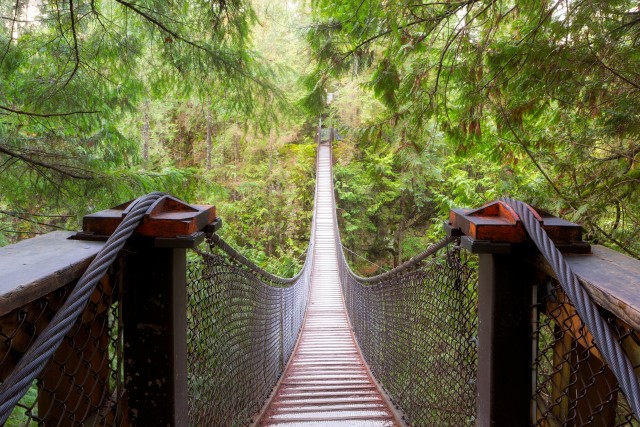 Visit Vancouver Lynn Valley Suspension Bridge & Nature Walk Tour in Vancouver,British Columbia ,Canada 