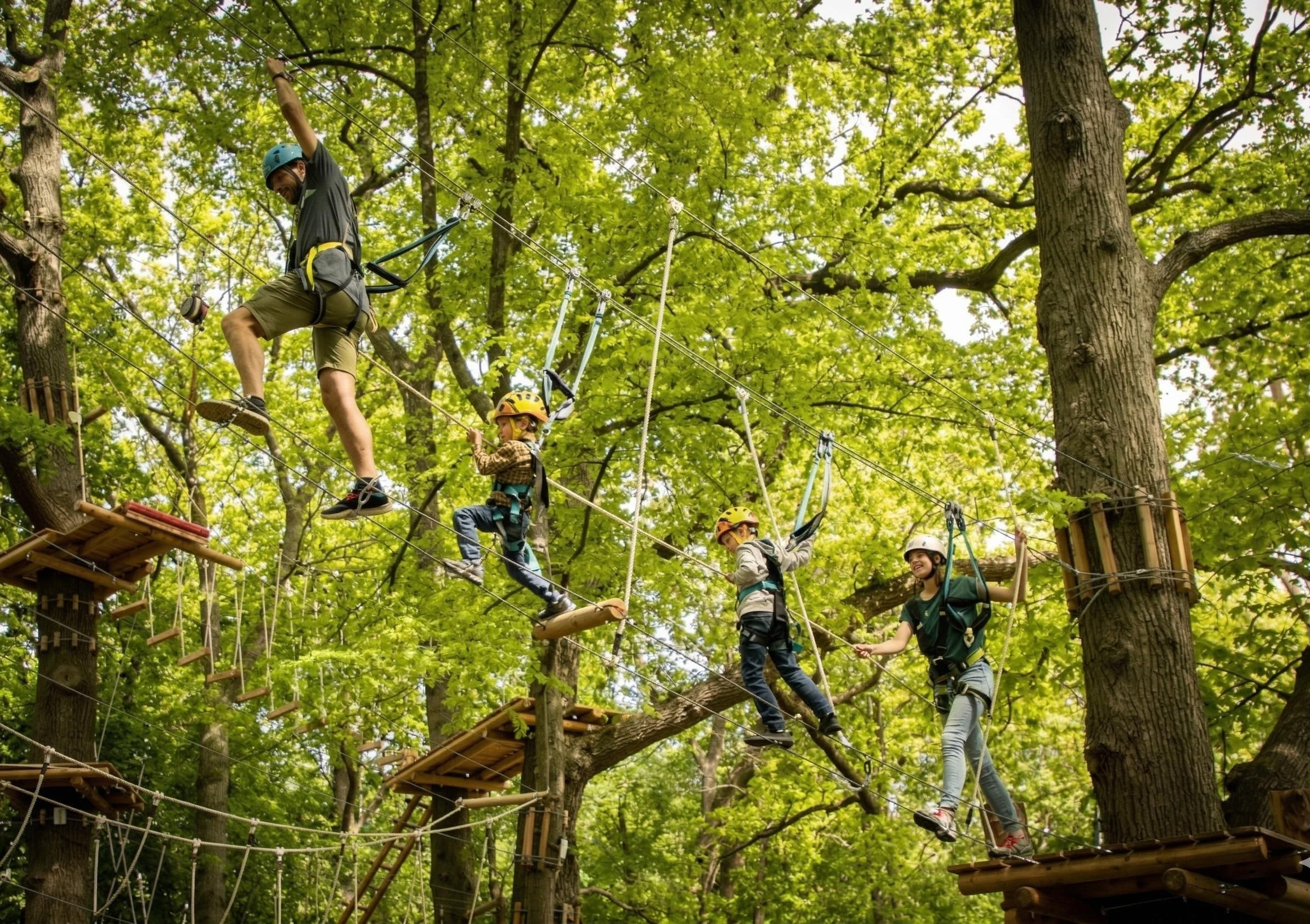 Travemünde Kletterwald: Eintrittskarte für den Anfängerparcours