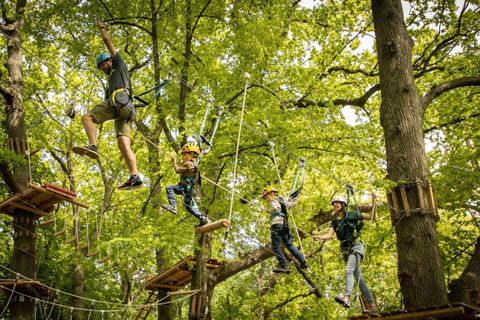 Travemünde Kletterwald: Entry Ticket to Begginer Parcours