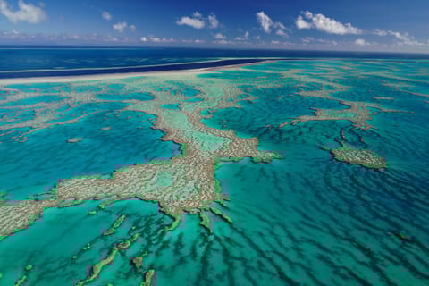 Airlie Beach: Great Barrier Reef & Islands Helicopter Flight