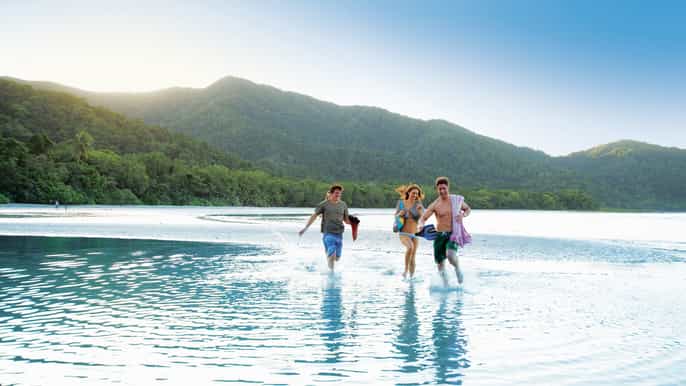 cape trib daintree premium tour + chefs lunch + cruise