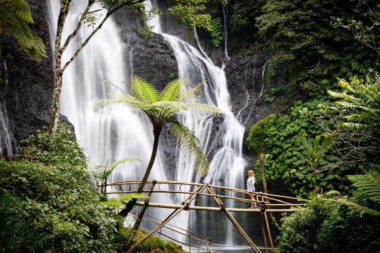 North of Bali: Private Tour with UNESCO World Heritage site Private Tour : Ticket Excluded