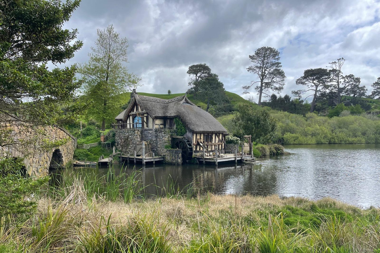 Desde Auckland: Hobbiton, cuevas de Waitomo y casa kiwiHobbiton y cuevas de Waitomo en grupo pequeño desde Auckland