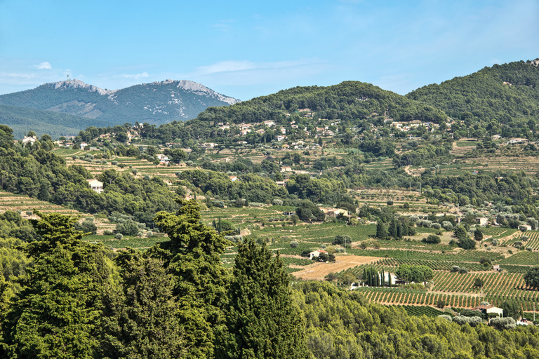 Z Marsylii: Degustacja win w Bandol i Cassis