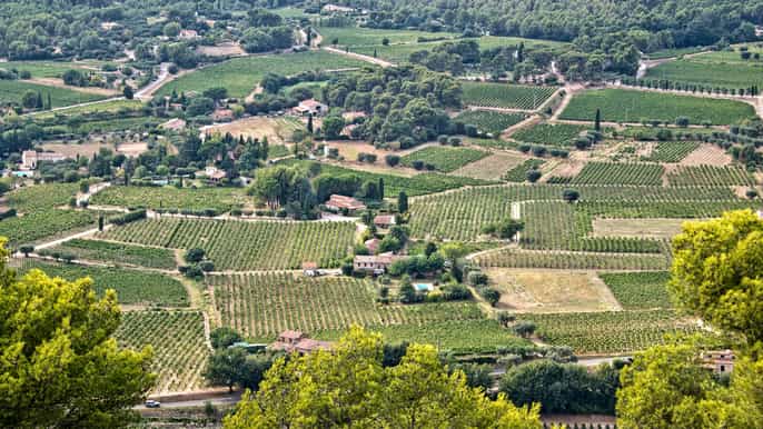 from marseille bandol and cassis wine tasting tour
