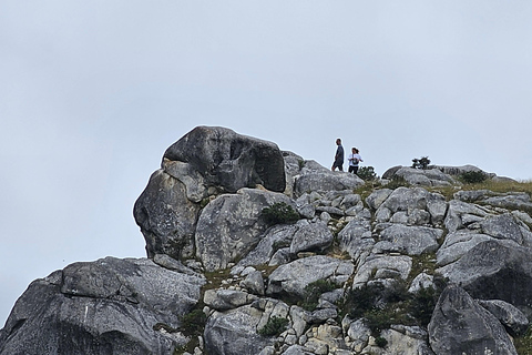Arthur’s Pass Alpine Explorer Day Tour from Christchurch