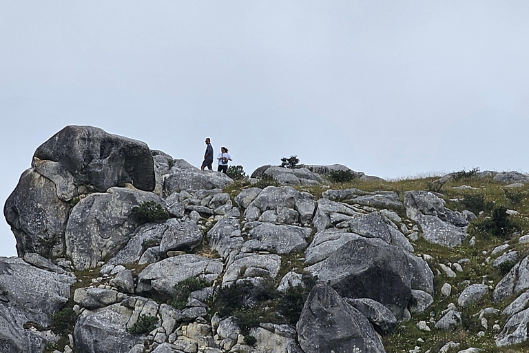 Arthur’s Pass Alpine Explorer Day Tour from Christchurch