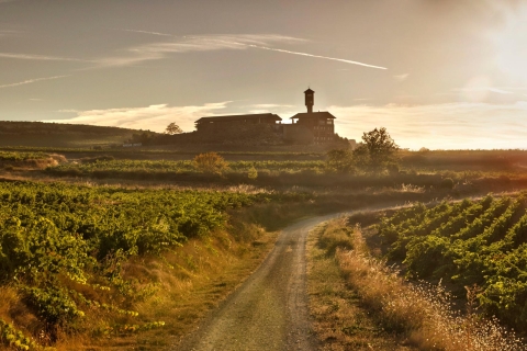 Van San Sebastian: La Rioja wijnkelder & proeverijLa Rioja Wine Cellar & Tasting Tour in het Spaans