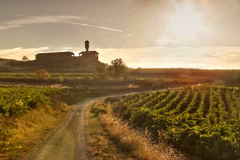 Natuur & avontuur