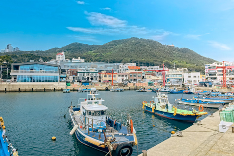 The Essential Busan: Coast, Forest, Culture & Local Markets Real Busan (Ahopsan) Tour, Meet at Haeundae Station