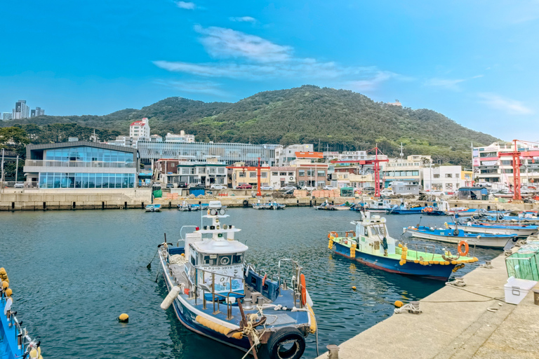 The Essential Busan: Coast, Forest, Culture & Local Markets Real Busan (Ahopsan) Tour, Meet at Haeundae Station