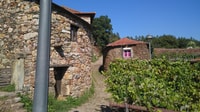 Porto, 4x4 Tour de montagne - Hizvo