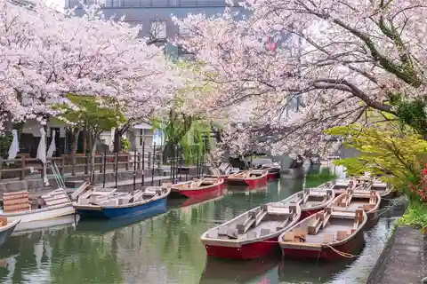 Fukuoka: Kyushu Strawberry Picking, Yanagawa Boat, Dazaifu