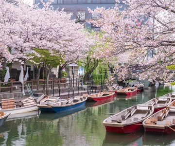 Fukuoka: Raccolta delle fragole di Kyushu, Yanagawa Boat, Dazaifu