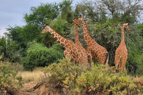 Lake Nakuru & Naivasha National Park Wildlife Highlights