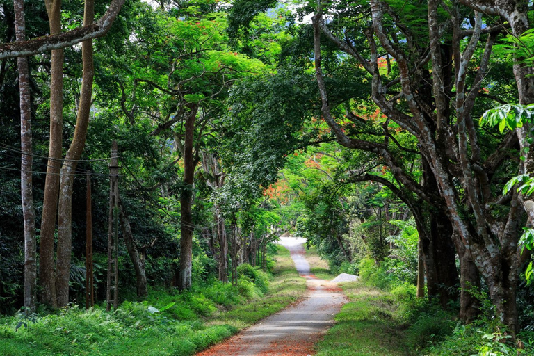 Private Day Tour: Cuc Phuong National Park from Hanoi