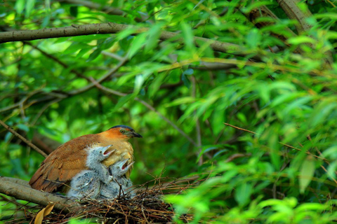 Private Day Tour: Cuc Phuong National Park from Hanoi