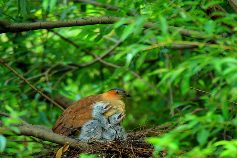 Private Day Tour: Cuc Phuong National Park from Hanoi