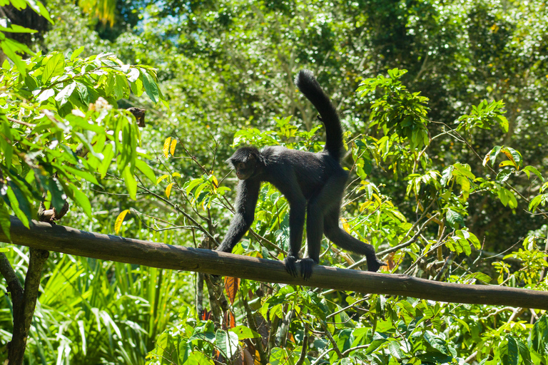 Private Day Tour: Cuc Phuong National Park from Hanoi