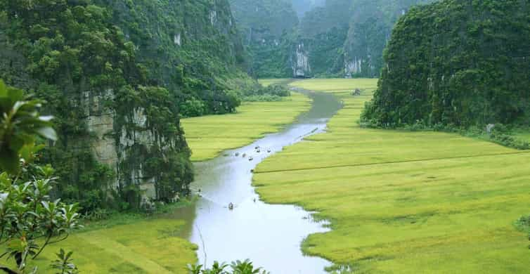 Cuc Phuong National Park Ninh Binh Province Book Tickets And Tours