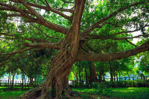 Desde Hanoi: Tour de 2 días por el Parque Nacional Ninh Binh y Cuc Phuong