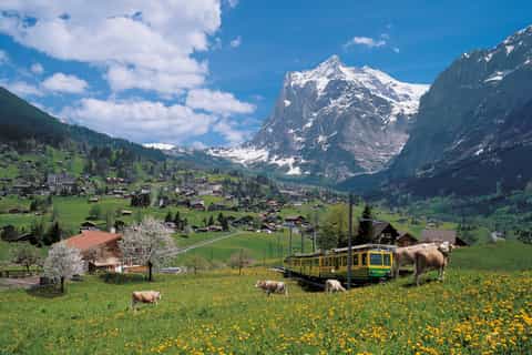 From Interlaken: Day Trip to Jungfraujoch - Top of Europe