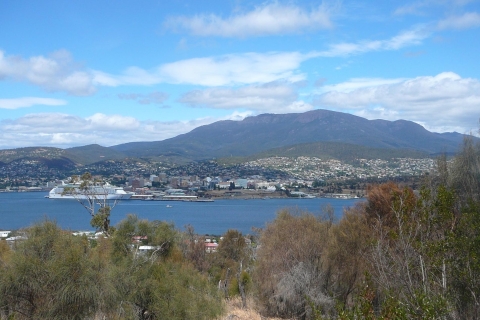 Hobart: stadsrondrit van 3 uur per tramOchtendtour