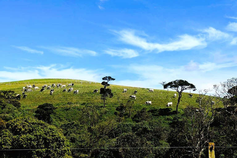 From Kandy: 2-Day Sigiriya & Ambewella Station drop Tour