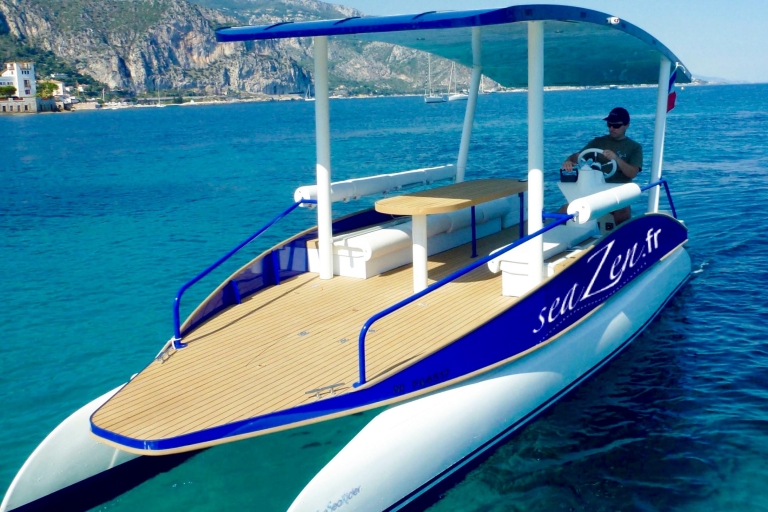 Nizza: Private Solarbootsfahrt an der Côte d'Azur1-stündige private Basics-Tour