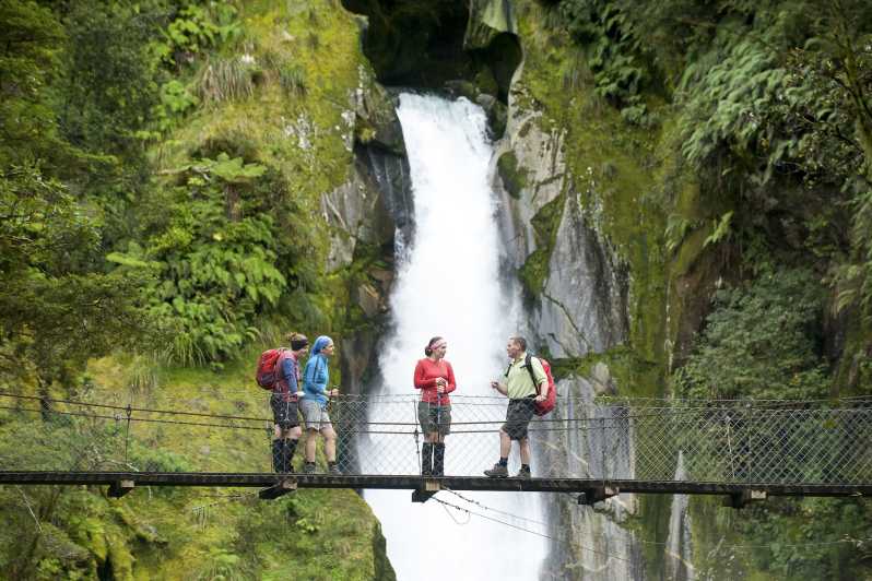 Milford Track: Full Day Guided Hike and Nature Cruise
