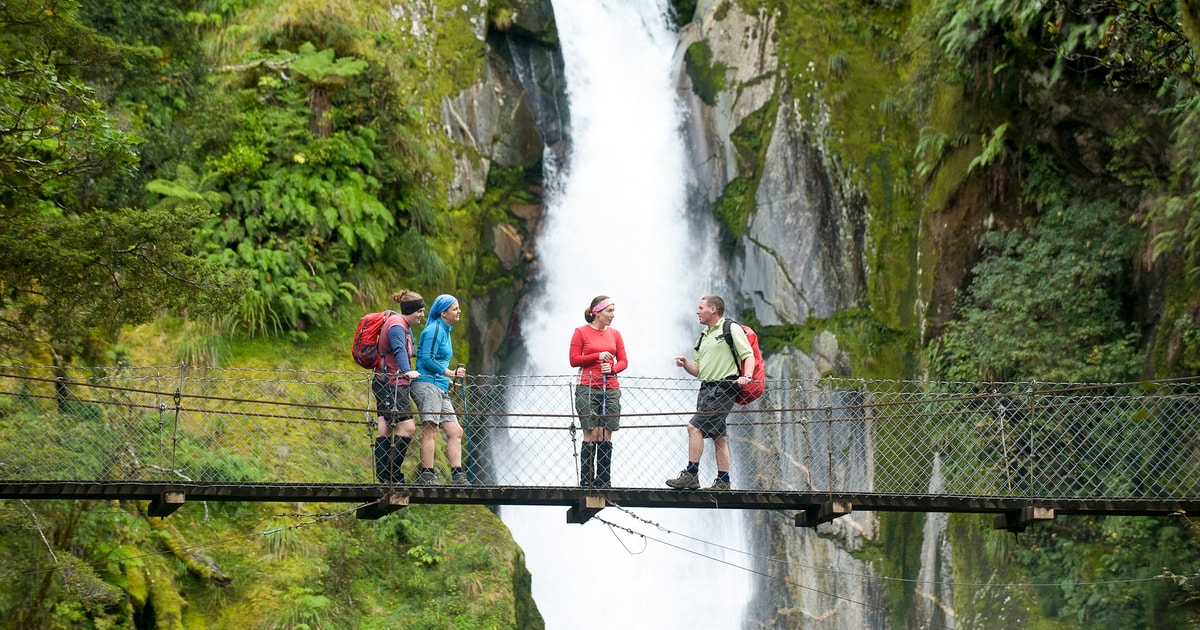 Milford track guided hike best sale