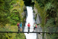 Piste de Milford, randonnée guidée d'une journée et croisière en nature - Hizvo