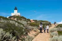 De Ajaccio / Portfoce a Ajaccio & Banadines Gulf Boat Tours - Housity