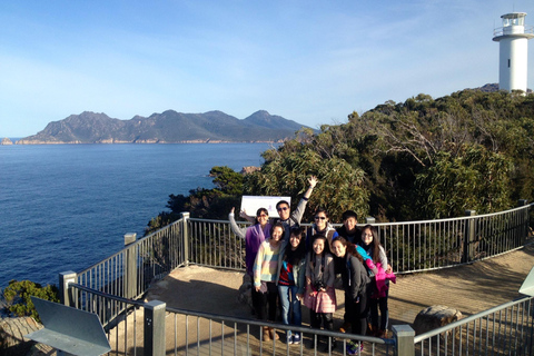 1 Day Hobart to Launceston via Wineglass Bay active day tour