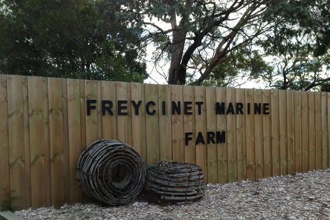 1 Day Hobart to Launceston via Wineglass Bay active day tour