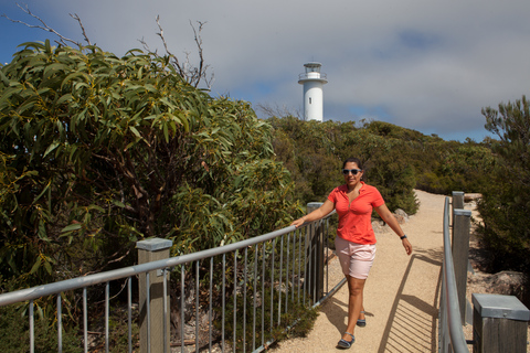 1 Day Launceston to Hobart via Wineglass Bay active day trip