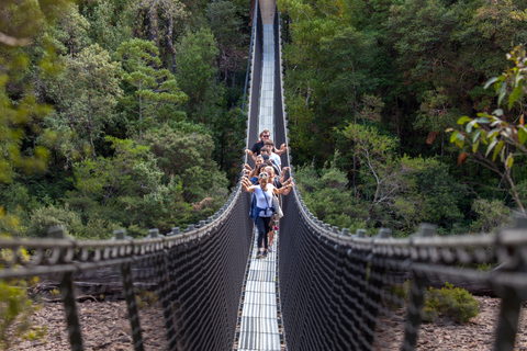 Hobart: Tour de un día completo por el paseo aéreo de Tahune y las cuevas de HastingsDesde Hobart: Paseo aéreo de un día por Tahune y excursión a las cuevas de Hastings