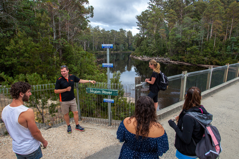 Hobart: Full-Day Tahune Airwalk &amp; Hastings Caves Active Tour