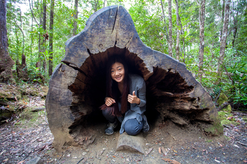 Hobart: Tour de un día completo por el paseo aéreo de Tahune y las cuevas de HastingsDesde Hobart: Paseo aéreo de un día por Tahune y excursión a las cuevas de Hastings