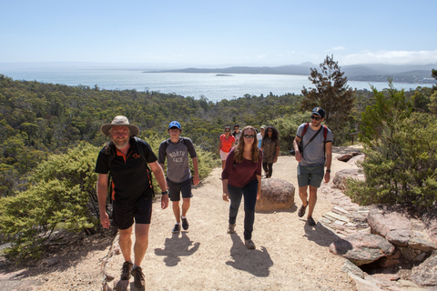 Hobart : Wineglass Bay & Freycinet Active Day TourDe Hobart: excursion active d'une journée à Wineglass Bay