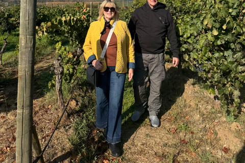 Santiago: Casablanca Wine Tour — 2 Award-Winning Wineries