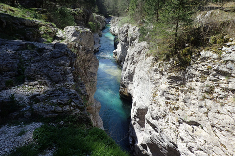 Kranjska Gora, Bovec, Bohinj: pełna przygód wycieczka z Bledu