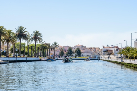 Aveiro: tour de medio día desde Oporto con cruceroTour en español