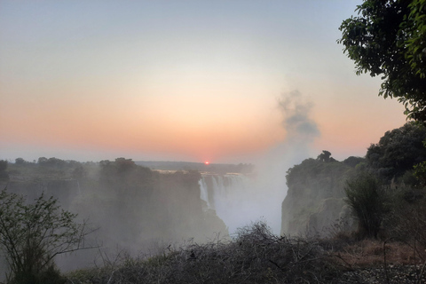 Victoria Falls and Birdwatching Tour