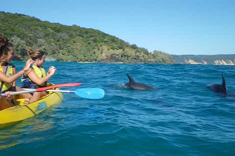 Rainbow Beach: Kayaking with Dolphins and Beach Tour