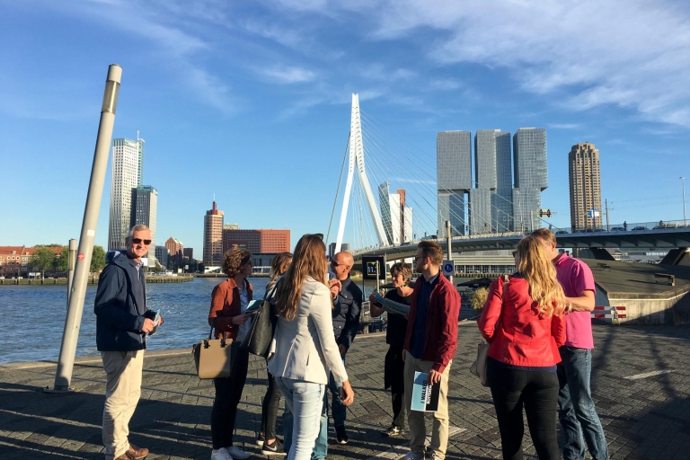 Rotterdam: grootse rondwandeling van 2 uur