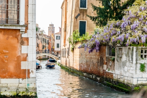 Venise : Waterbus et carte de bus continentaleBillet ordinaire de 75 minutes