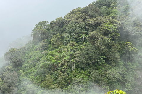 Yogyakarta: Merapi Volcano Trek with Transfer Daylight Trekking at Merapi Volcano (without sunrise)