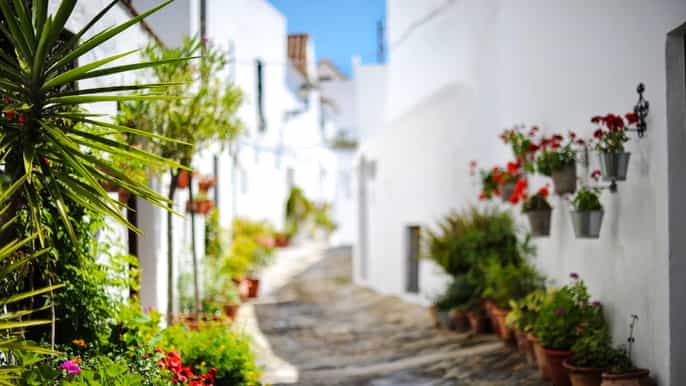 excursión privada de un día desde cádiz vejer de la frontera y bolonia