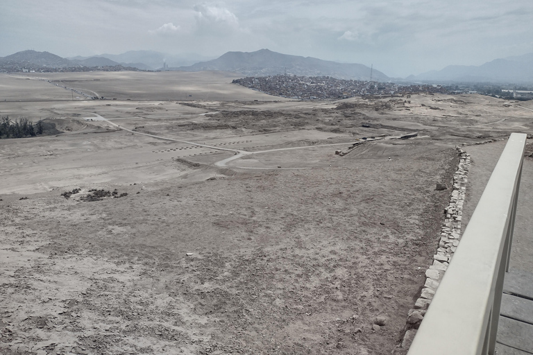 Experiencia en Pachacamac y Pantanos de VillaSenderismo en Pachacamac y Pantanos de Villa